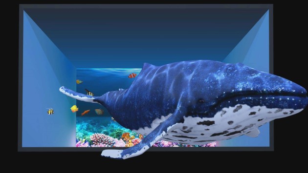 戶外裸眼3D技術(shù)-蘇州好奇數(shù)字科技