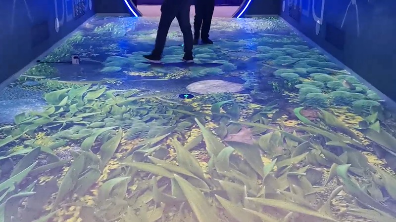 魚水地面投影互動-蘇州好奇數字科技.jpg